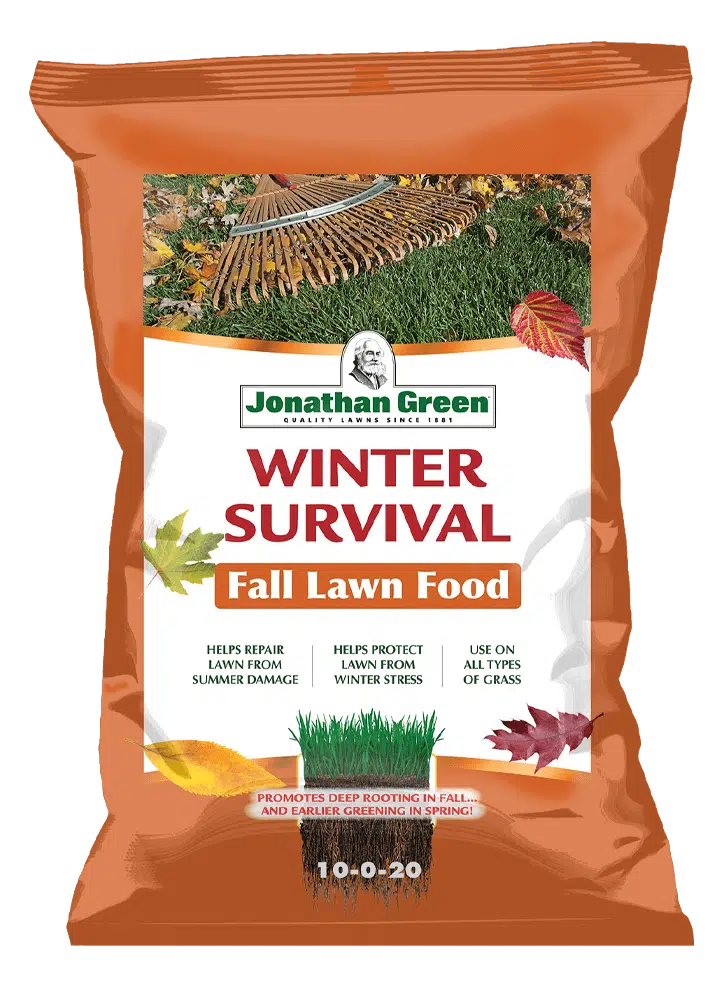 Fertilize lawn in winter discount