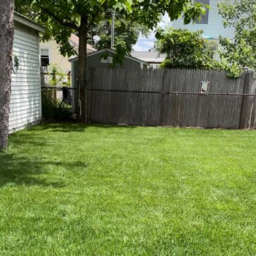 Love Your Soil® Hard Soil Supplement