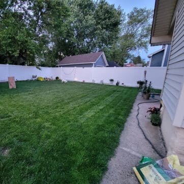 Black Beauty® Heavy Traffic Grass Seed