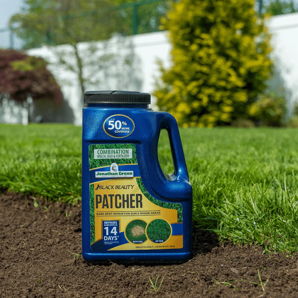 Black Beauty® Patcher Lawn Bare Spot Repair