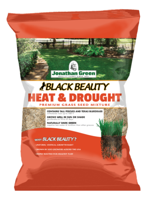 Black Beauty® Original Lawn Grass Seed | TTTF Grass Seed