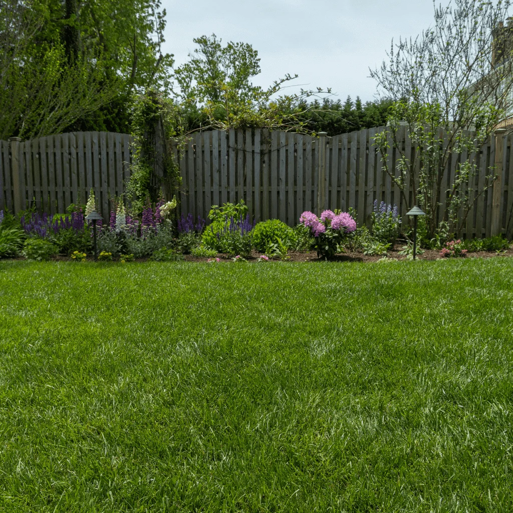 Veri-Green Nitrogen Rich Lawn Fertilizer