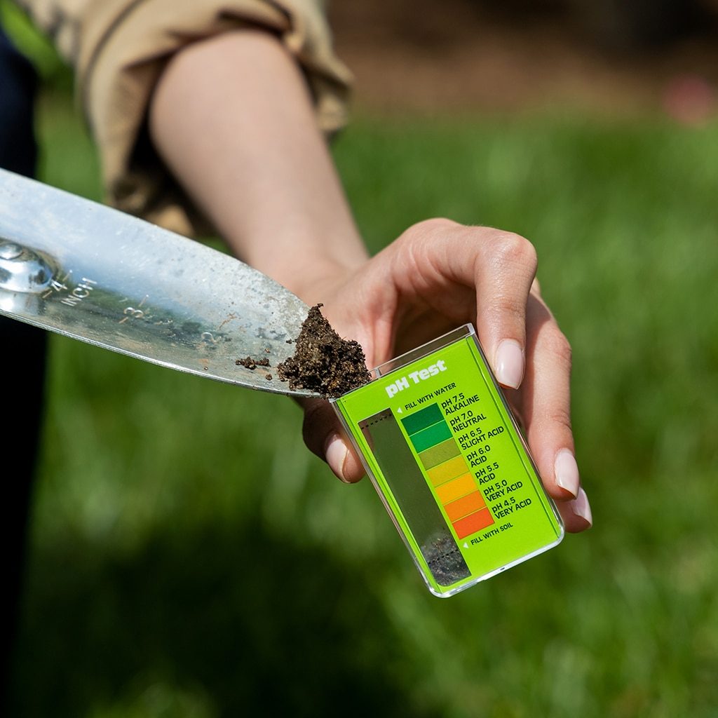 girls-hand-putting-soil-soil-pH-test-resized girls-hand-putting-soil-soil-pH-test-resized