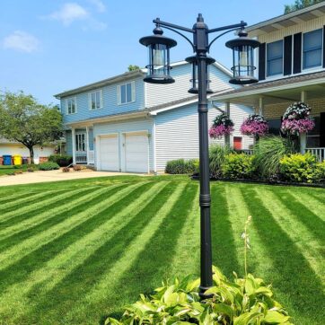 Lawn Fungus Control
