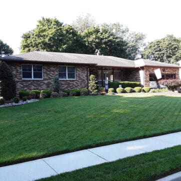 Lawn Fungus Control