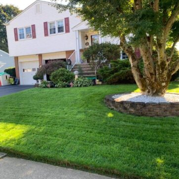 Veri-Green Weed &amp; Feed Lawn Fertilizer