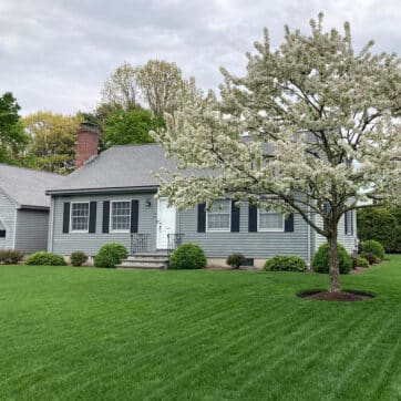 Summer Survival Insect Control with Lawn Fertilizer